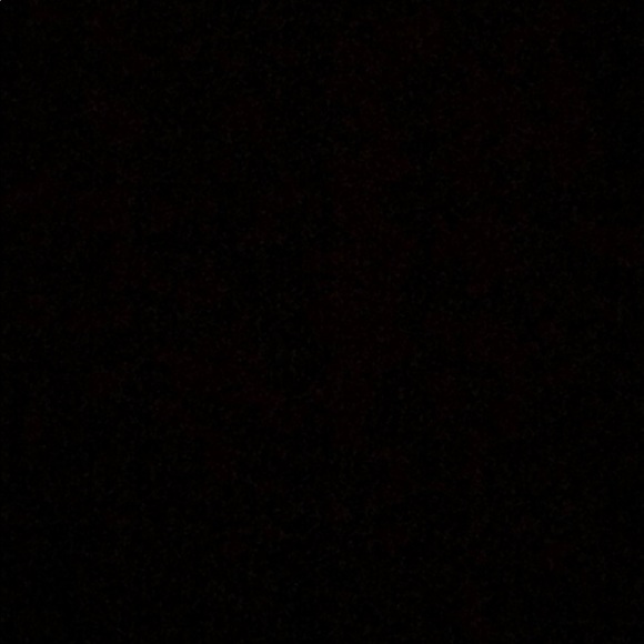 Meet your Posher, Shanese - Picture 1 of 1